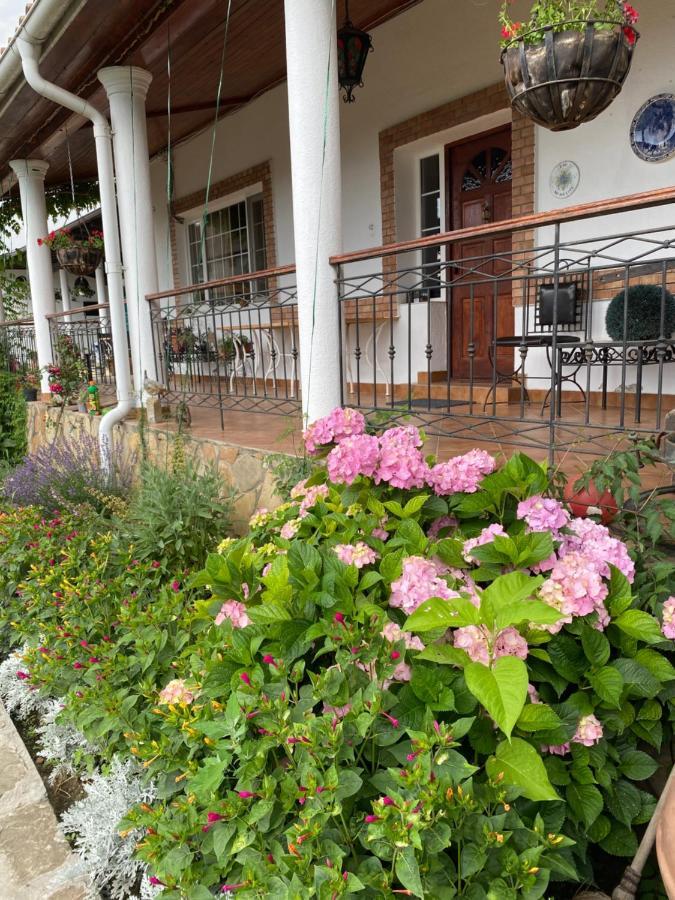 Country Club La Mesteceni Sebeş Eksteriør bilde